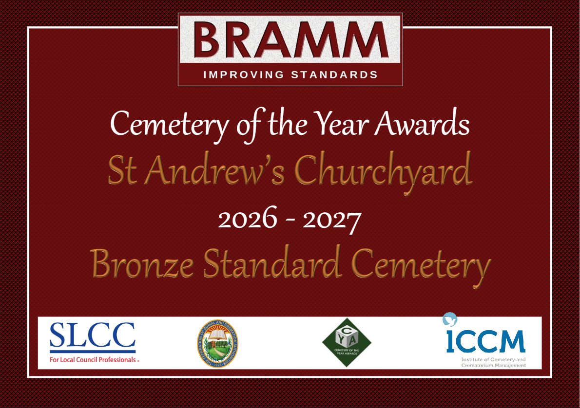 Picture of bronze certificate